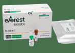 ELISA 外泌體定量分析 (Atlas Exosome ELISA kits)